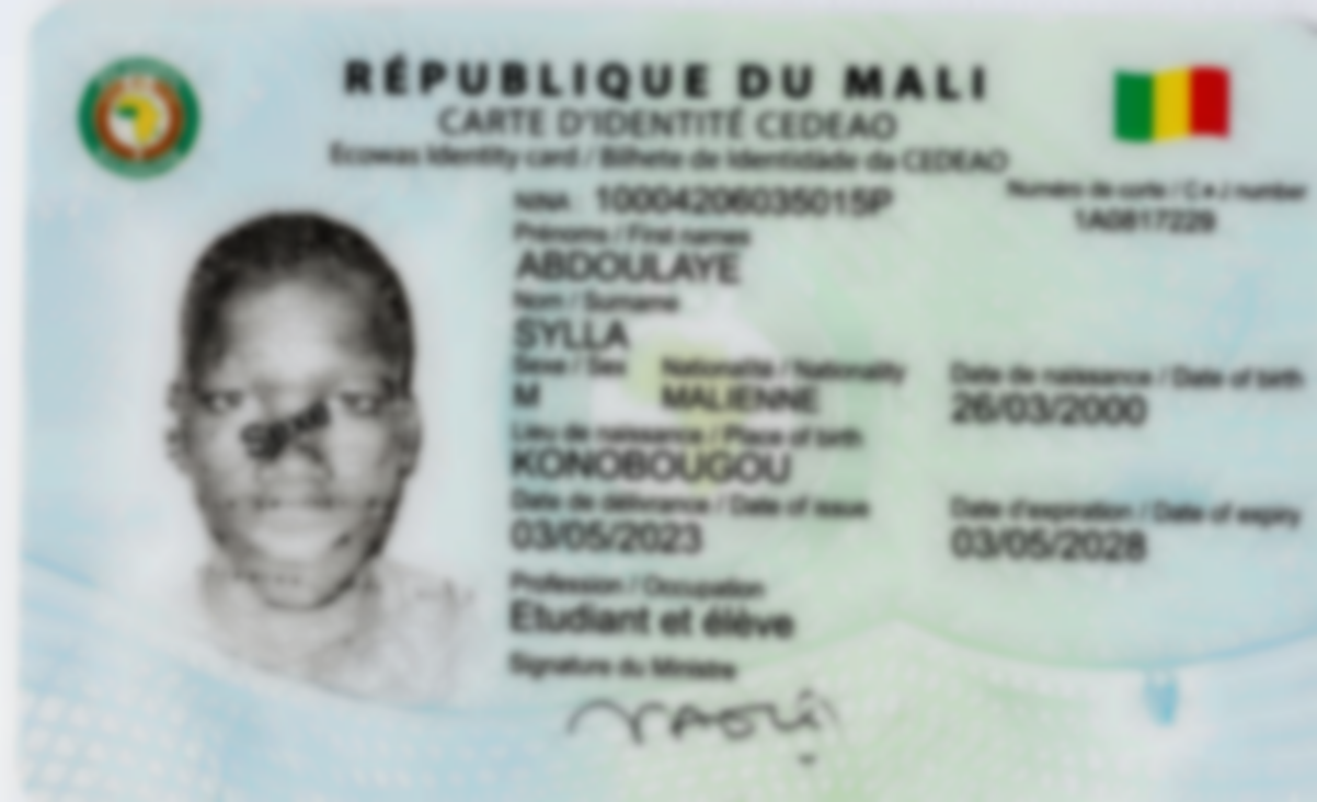 Photo de l'objet